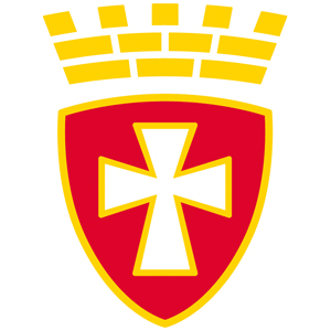 DSR logo